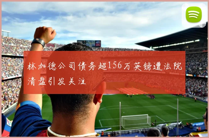 林加德公司债务超156万英镑遭法院清盘引发关注