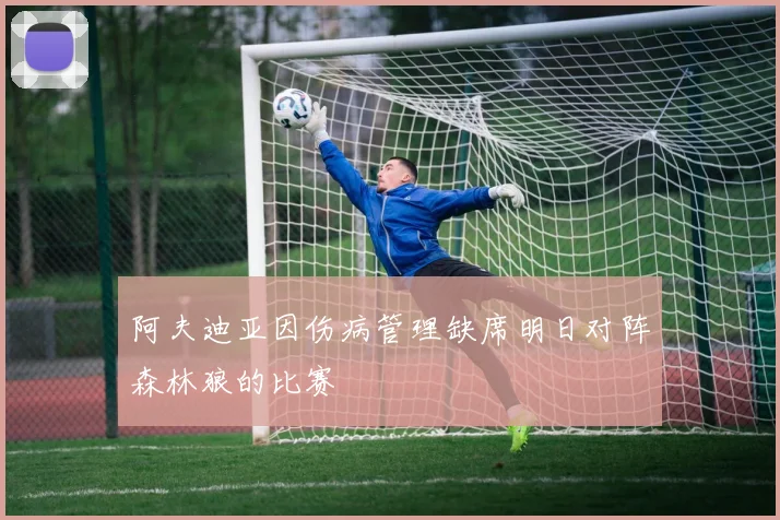 阿夫迪亚因伤病管理缺席明日对阵森林狼的比赛