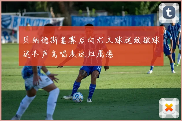 贝纳德斯基赛后向尤文球迷致敬球迷齐声高唱表达归属感