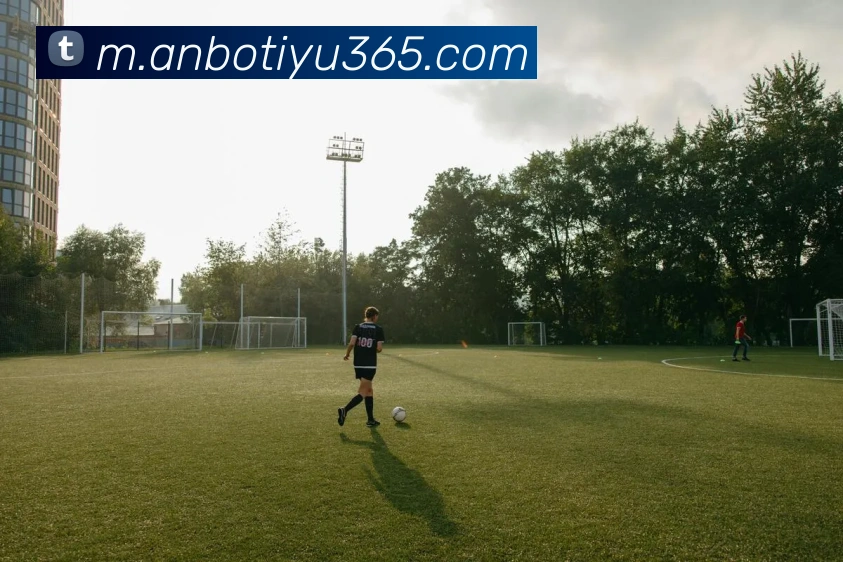 安博体育服务体系